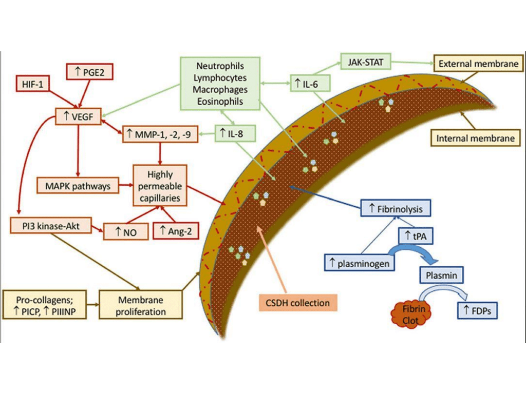 Pathophysiology and Clinical Presentation